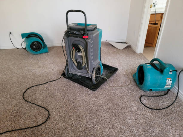 Best 24/7 water damage repair  in Allison, IA