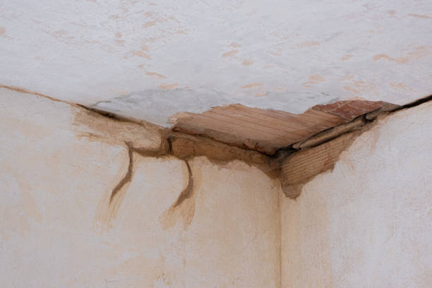 Best Water damage restoration near me  in Allison, IA
