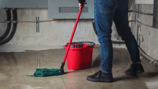 Best 24-hour water damage restoration  in Allison, IA