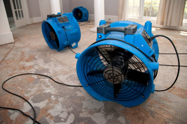 Best Sewage cleanup and water damage restoration  in Allison, IA