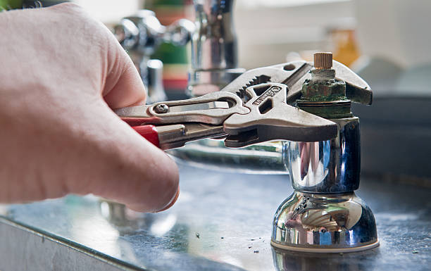 Best Flood restoration services  in Allison, IA