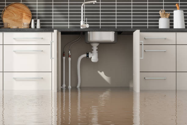 Best Water damage restoration near me  in Allison, IA