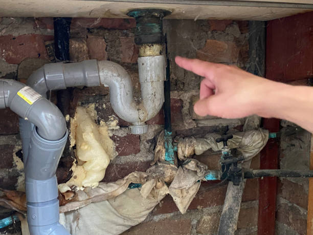 Best 24/7 water damage repair  in Allison, IA